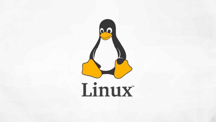 Featured image of post Linux操作系统实验